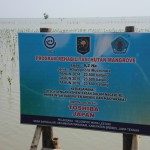 Toshiba's new CSR program to plant more than 70,000 mangroves in Indonesia