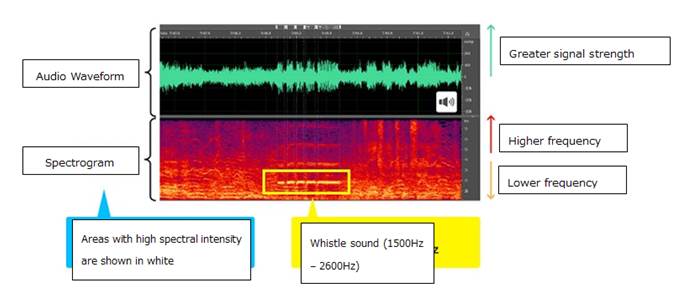 The AI automatically uses the sound of the whistle to tag individual plays recorded on video