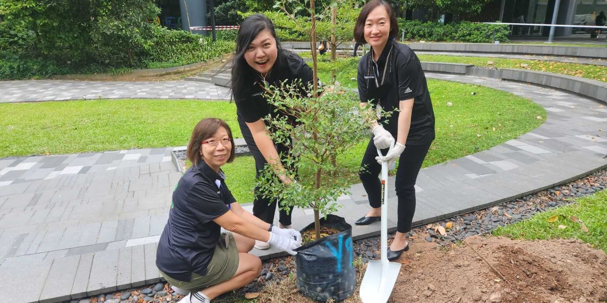 Toshiba volunteers in action for "Plant-a-Tree"