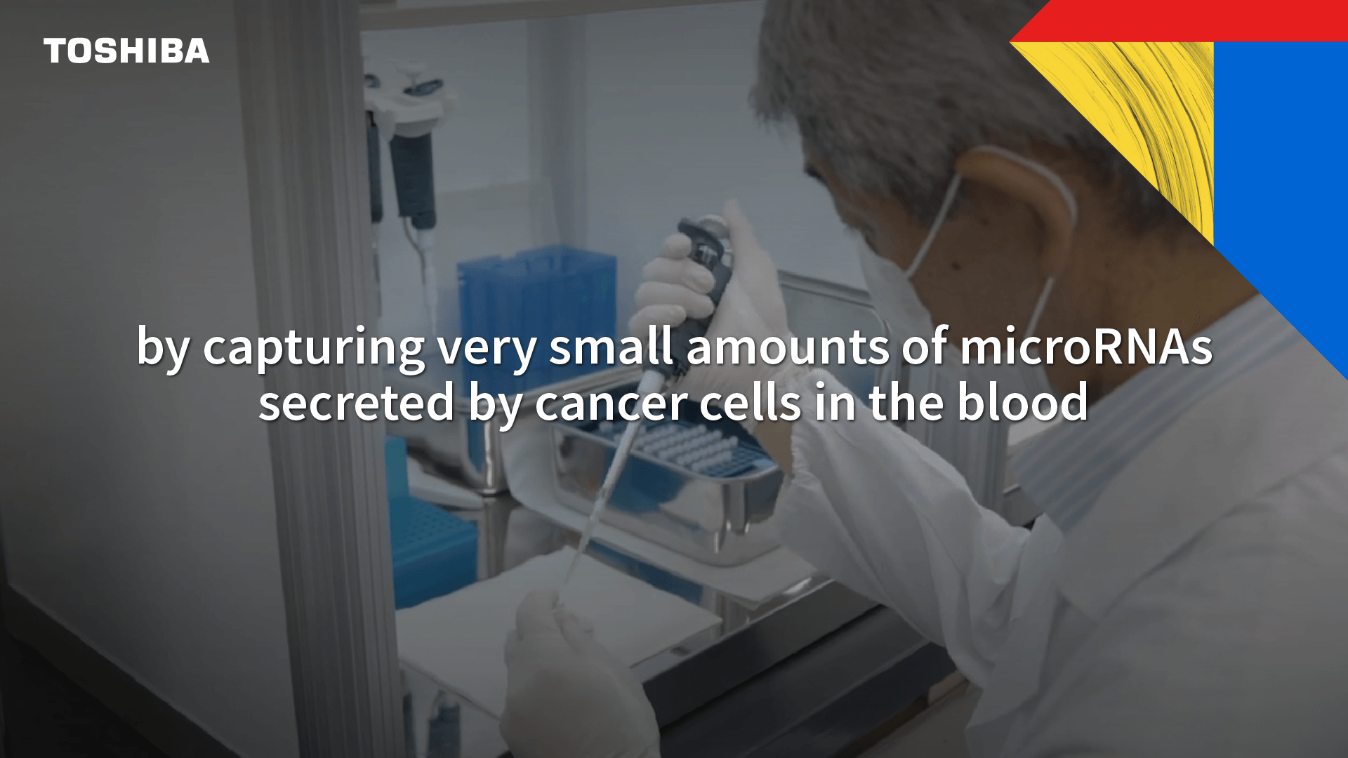 Toshiba's microRNA technology