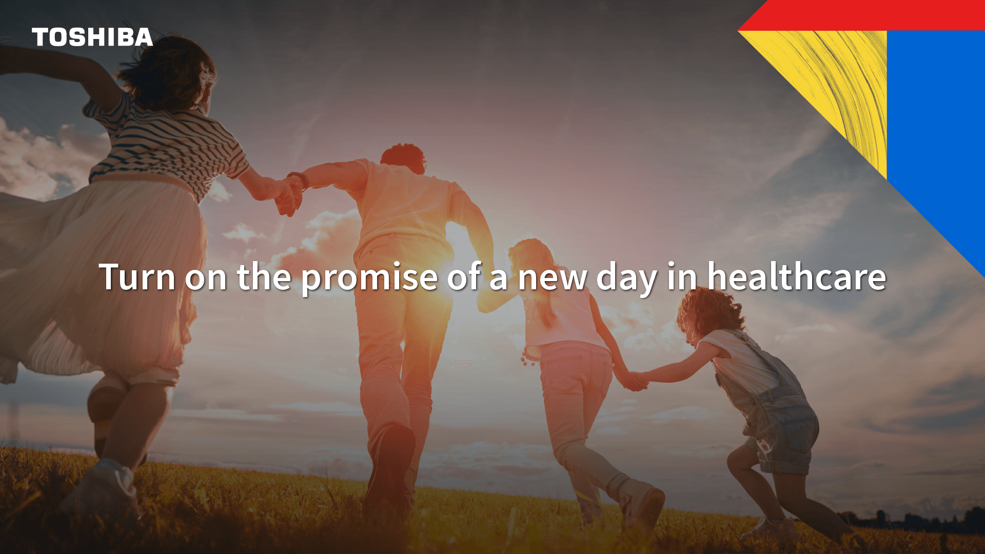 Toshiba's microRNA technology